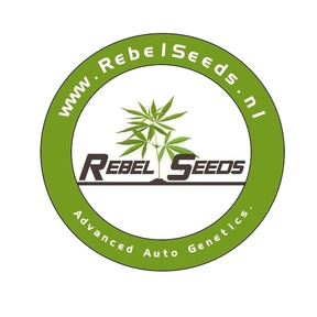 RebelSeeds