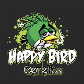 Happy Bird Genetics
