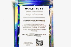 Providing ($): 1000 SEEDS HARLE-TSU F3 FARMERS PACK