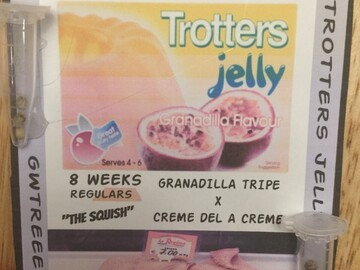 Providing ($): Gwtree Co. Trotters Jelly