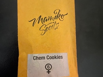 Providing ($): Mamiko Seeds - Chem Cookies (GMO Cookies)