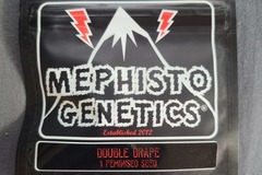 Selling: Mephisto Double Grape [Feminized Auto] 1 SEED PACK