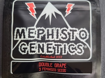 Proporcionando ($): Mephisto Double Grape [Feminized Auto] 3 SEED PACK