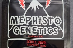 Providing ($): Mephisto Double Grape [Feminized Auto] 3 SEED PACK
