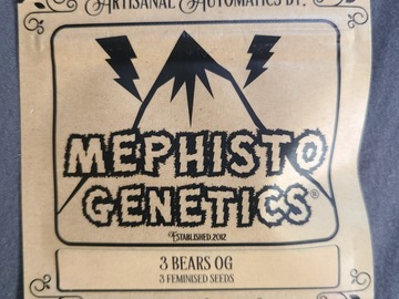 Providing ($): Mephisto 3 Bears OG [Feminized Auto]