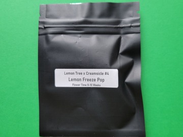 Providing ($): Clearwater Genetics - Lemon Freeze Pop