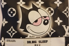 Sell: Dr. BIG Sleep S1  Copycat Genetics ORIGINAL Fems