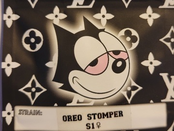 Vente: Oreo Stomper S1 Copycat Genetics Fems