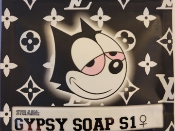 Vente: Gypsy Soap S1 Copycat Genetix Clone Only Fems