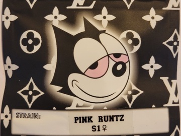 Vente: Pink Runtz S1 Copycat Genetix Original Fems