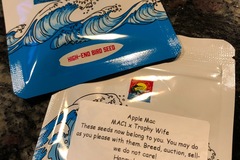 Providing ($): Surfr Seeds Apple MAC
