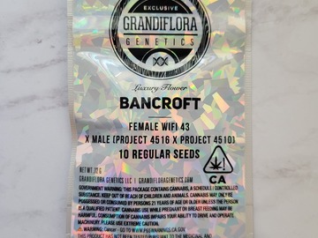 Proporcionando ($): GRANDIFLORA - Bancroft