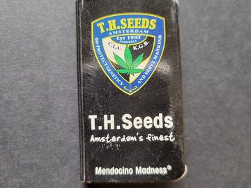 Providing ($): T.H. Seeds - Mendocino Madness