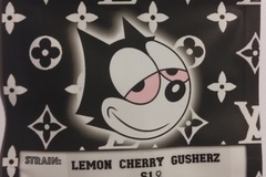 Sell: Lemon Cherry Gusherz S1 Copycat Genetics Fems