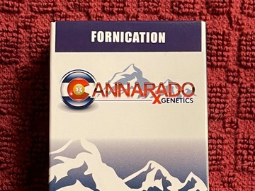 Providing ($): CANNARADO’S FORNICATION ( SUNDAE DRIVER X LPC#75)