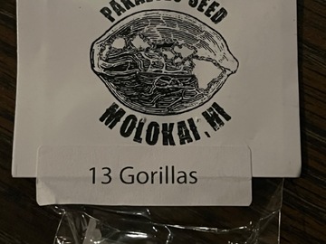 Providing ($): 13 Gorillas