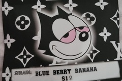 Sell: Blue Berry Banana S1 Copycat Genetics Fems