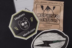 Providing ($): Mephisto Genetics - Samsquanch OG