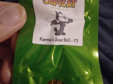 Vente: Copycat Genetics Karma's Sour Bx2-F2