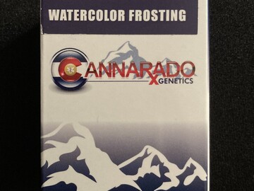 Providing ($): Cannarado Genetics - Watercolor Frosting