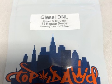 Providing ($): Giesel DNL (Topdawg Genetics)