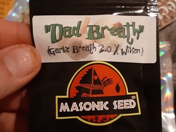 Proposer ($): Masonic Seeds Dad Breath