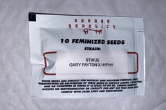 Vente: Stin’je (Gary Payton x Hyphy) - Savage Genetics