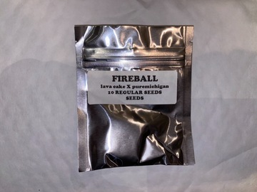 Providing ($): Fireball (Lava Cake x Pure Michigan) - Maxyields