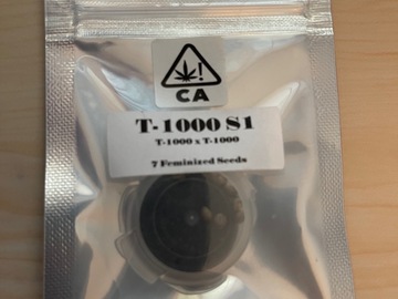 Venta: T-1000 (s1),  CSI Humboldt