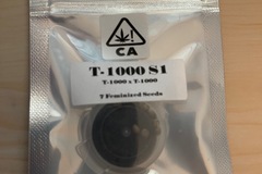 Selling: T-1000 (s1),  CSI Humboldt