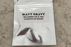 Selling: 3rd Coast Wavy Gravy
