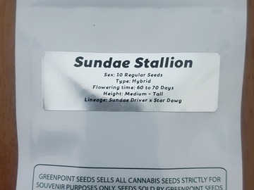 Providing ($): SUNDAE STALLION 4/20 sale!