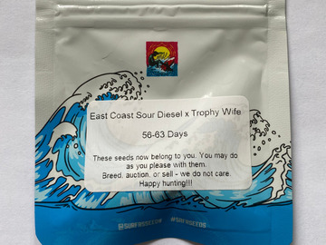 Selling: Surfr Seeds - East Coast Sour Diesel x Trophy Wife