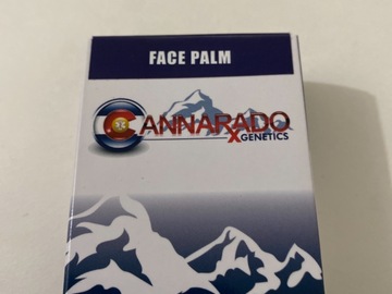 Providing ($): Face Palm Cannarado