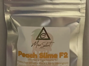 Providing ($): Peach Slime F2 - Max Select Seeds