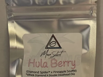 Providing ($): Hula Berry - Max Select Seeds