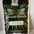 Providing ($): Frosted Skywalker - Mosca Seeds