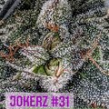 Vente: Jokerz #31 S1