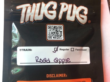 Vente: Thug Pug: Road Apples