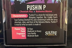 Providing ($): Solfire- Pushin P