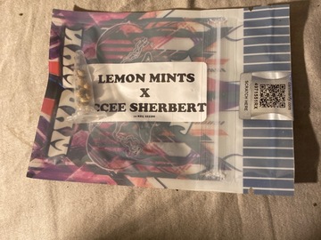 Selling: Tiki madman lemon mints x icee sherbert