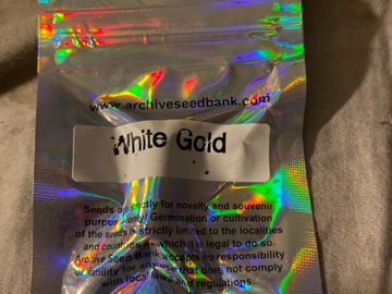 Selling: Archive white gold