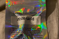 Selling: Archive white gold