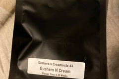 Venta: Clearwater gushers n cream