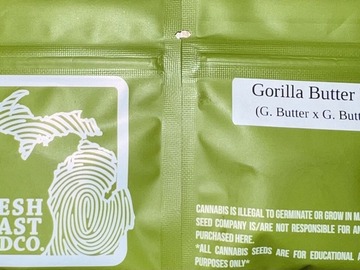 Selling: Fresh Coast Seed Co - Gorilla Butter F2