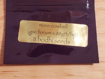 Providing ($): More Cowbell - Bodhi