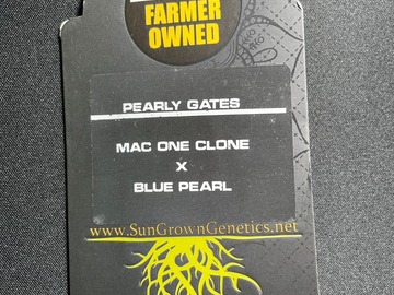 Providing ($): Pearly Gates - Sun Grown Genetics (12 Regular Seeds)
