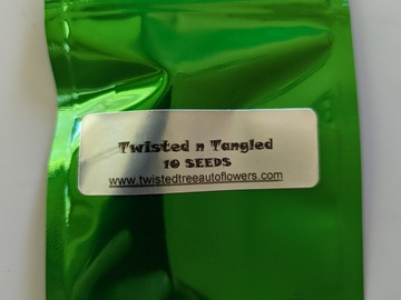 Selling: Twisted & Tangled [Feminized Auto]