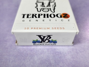 Vente: TerpHogz - Blooius Vuitton (Super Glue x Blooberry Z)