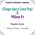 Selling: (Grape Ape x Lime Pop) X Wilson F2